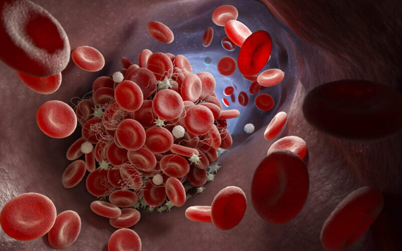 Améliorer la circulation sanguine et lymphatique