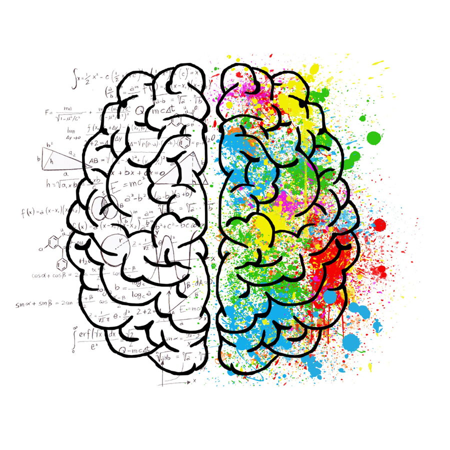 Cerveau brain gym