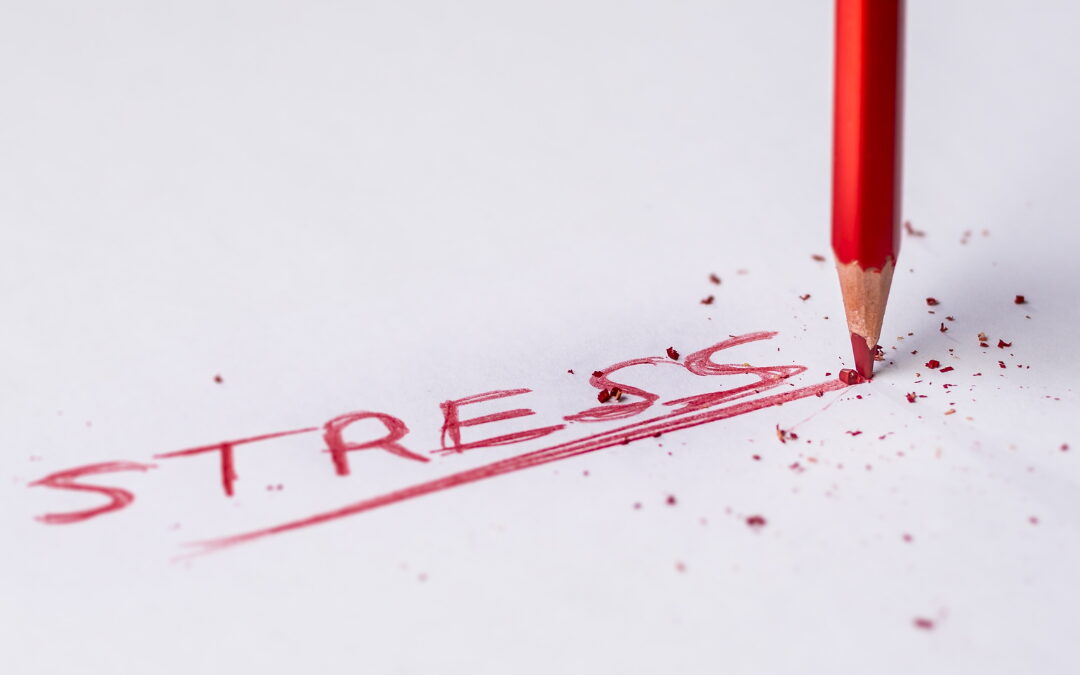 Les principales façons dont notre organisme réagit au stress