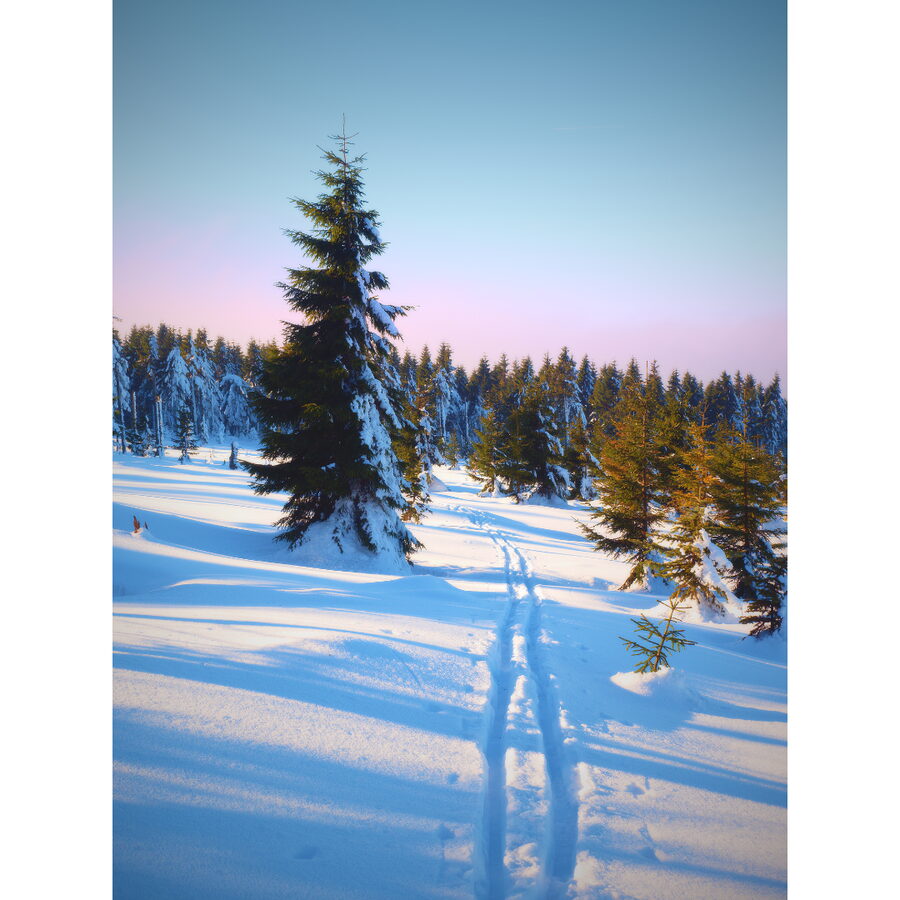 Ski3